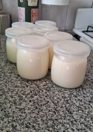 Una foto de Yogur Casero con o sin yogurtera!