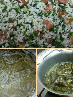 صورة لوصفة ورق عنب بالزيت-يالنجي-