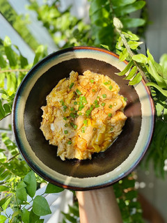Hình của món Cơm gà trứng kiểu Nhật (Oyakodon).