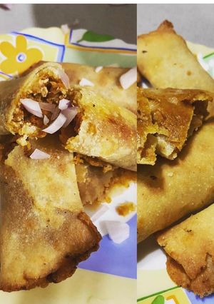 A picture of Spring roll with veggies.