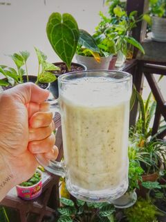 Foto resep  Smoothies yakult pisang mix saledri