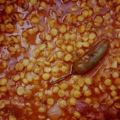 Chaney ki daal A picture of Chaney ki daal.
