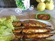 Gambar ikan dencis