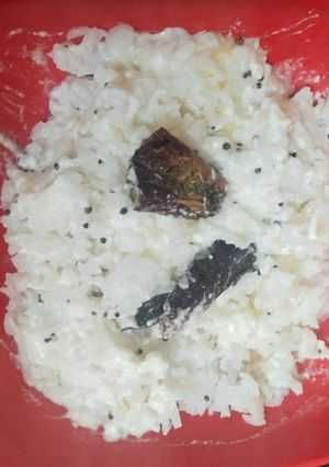 A picture of Curd rice.