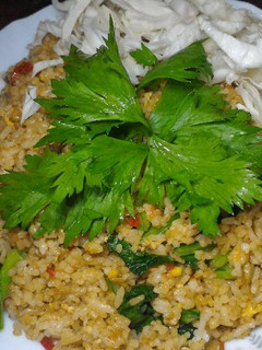 Foto resep Nasi goreng full sayuran