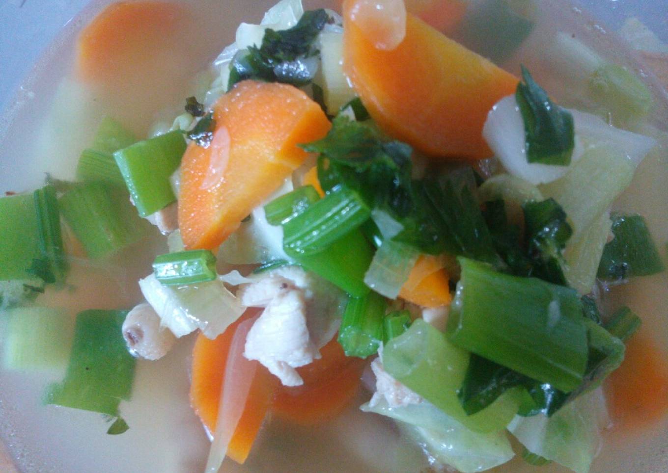 Sup Ayam dan Sayuran