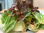 A picture of caesar salad dressing