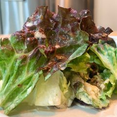 A picture of Caesar salad dressing.