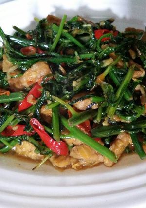Foto resep Tumis Pakis dan Tempe