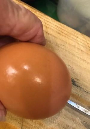 Una foto de TIP PARA COCER Y PELAR FACILMENTE HUEVOS 🥚
