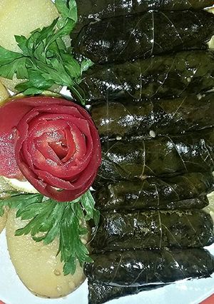 صورة لوصفة ورق العنب السوري