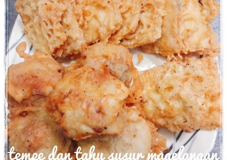 Tahu susur