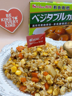 素食咖哩炒飯 蛋奶 五辛素 的食譜成品照片