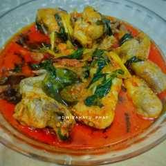 A picture of Ayam Woku.