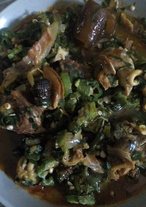 A picture of Oiless Okro soup with snail.