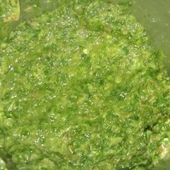 A picture of Green Chutney.