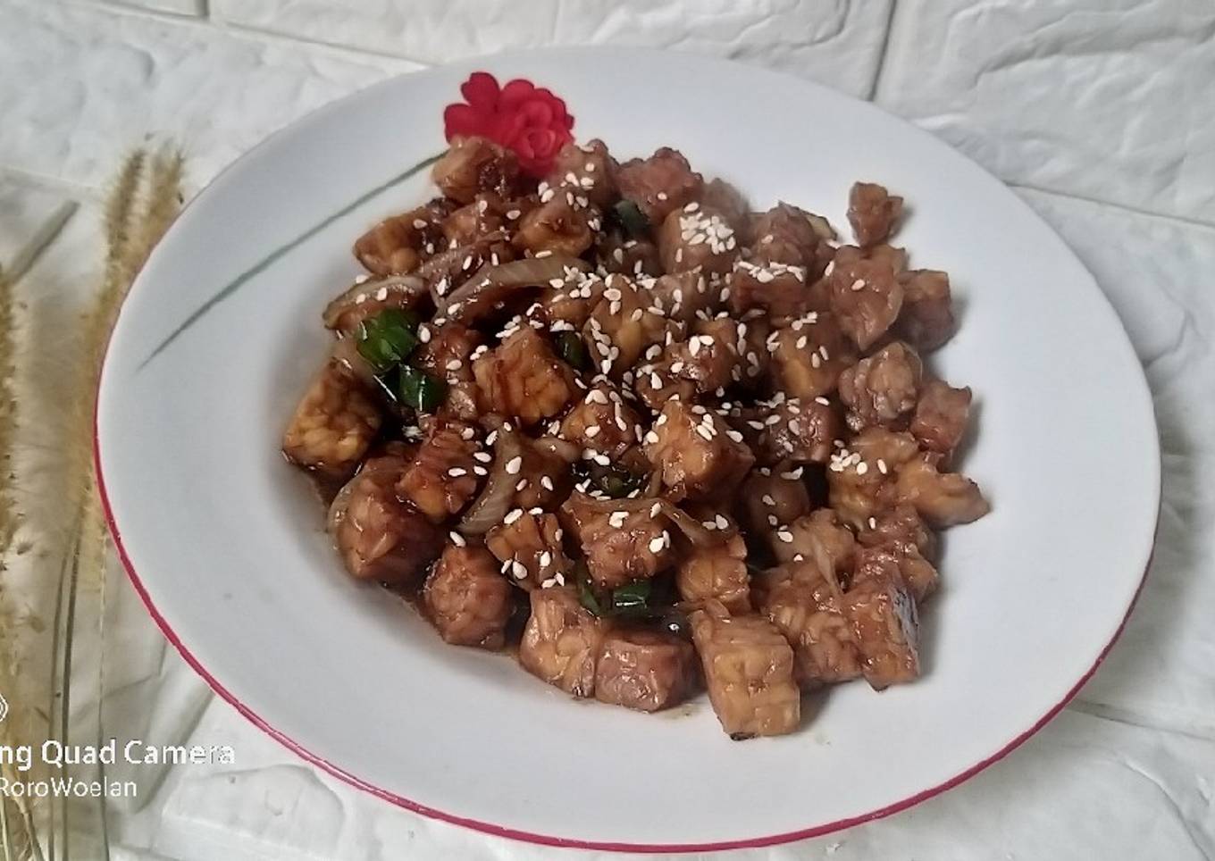 Tempe Orek Teriyaki