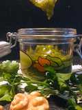 Pesto di noci e prezzemolo