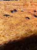 Pastel de choclo=elote