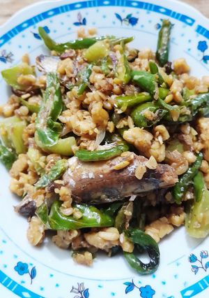 Foto resep Ikan Tamban Asin Oseng Tempe Kering