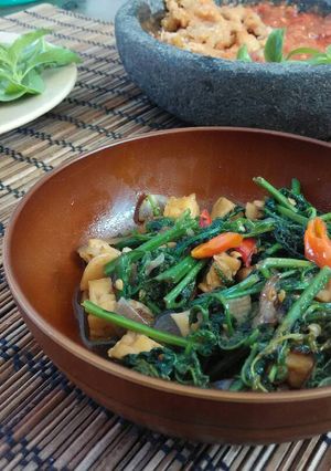 Foto resep Tumis Pakis Saus Tiram