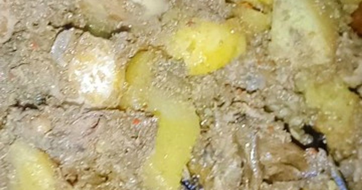 Resep rendang cumi rumahan enak dan mudah - Cookpad