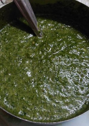 A picture of Hariyali chutney.