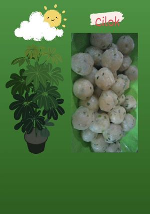Foto resep Cilok