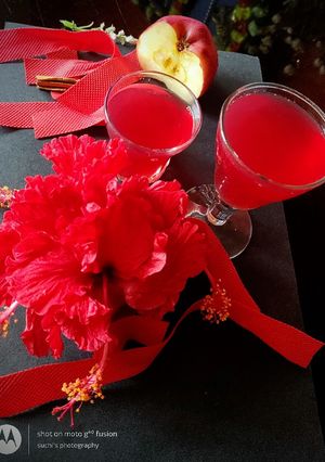 A picture of Hibiscus Apple Cinnamon Tea.