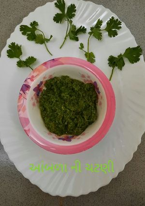આંબળા ની ચટણી (Amla Chutney Recipe In Gujarati) રેસીપી મુખ્ય ફોટો
