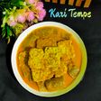 Kari Tempe