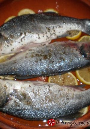 Φωτογραφία της συνταγής Λαυράκι με βάση λεμόνι