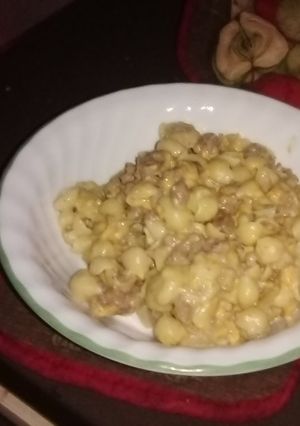 A picture of Shells and cheese with meat.