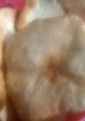 Una foto de Chipas Misioneras