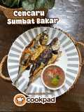 Cencaru Sumbat Bakar