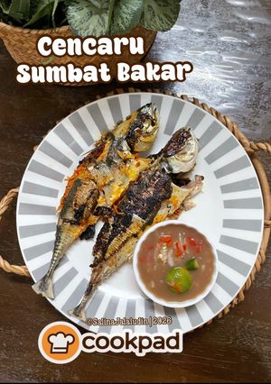 Gambar Cencaru Sumbat Bakar