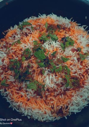 A picture of Chicken Dum Biriyani.