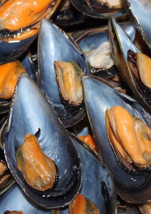Foto principal de Mejillones al vapor con vino blanco