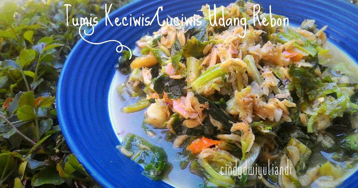  Resep  Tumis Simple Keciwis Cuciwis Udang Rebon  oleh Cindy 