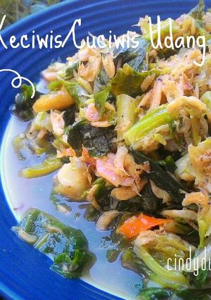Foto resep Tumis Simple Keciwis/Cuciwis Udang Rebon