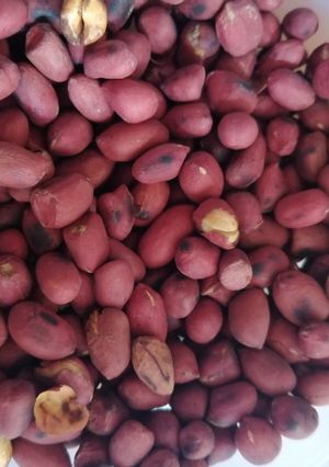 A picture of Roasted groundnuts.