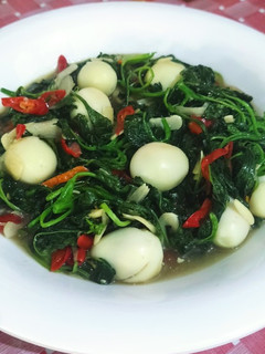 Foto resep Tumis Bayam Puyuh