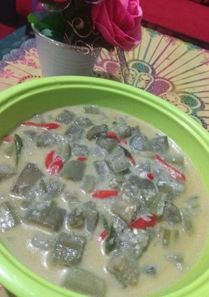 Foto resep Lodeh terong hijau