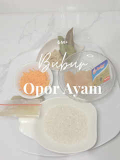 Foto resep MPASI 6 Bulan : Bubur Opor Ayam
