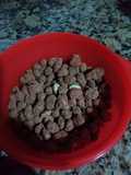 Cri cri de chocolate