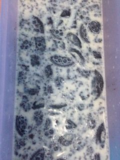 Foto resep Puding susu oreo