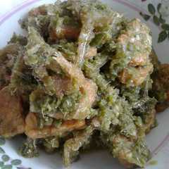 รูปของ Teri bada lado hijau
