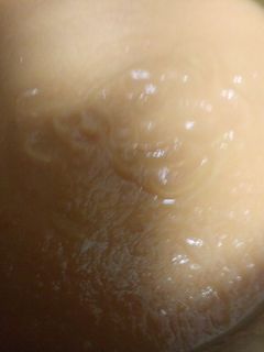 Una foto de Crema de verduras