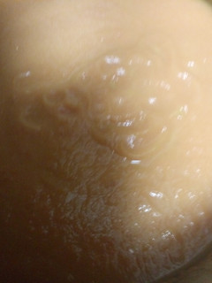 Una foto de Crema de verduras