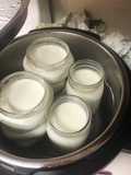 Instapot Cold Start yogurt